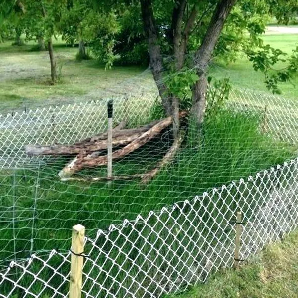 Fence Installation & Repair in Burbank, CA