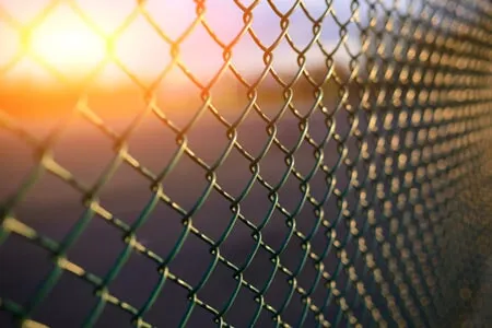 Chain link